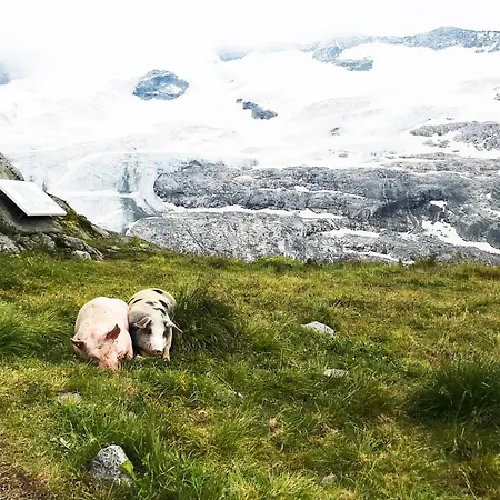 Felben Inklusive Nationalpark Card Apartamento *